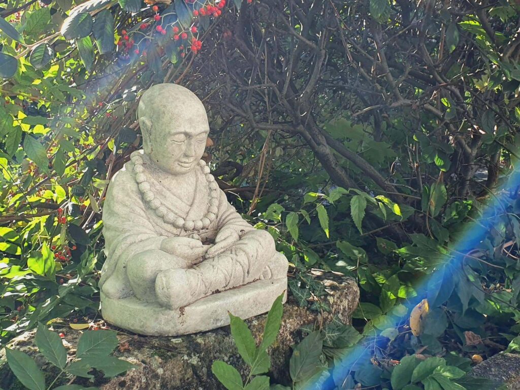 Un Maître Zen à Romans sur Isère qui apporte la paix intérieure