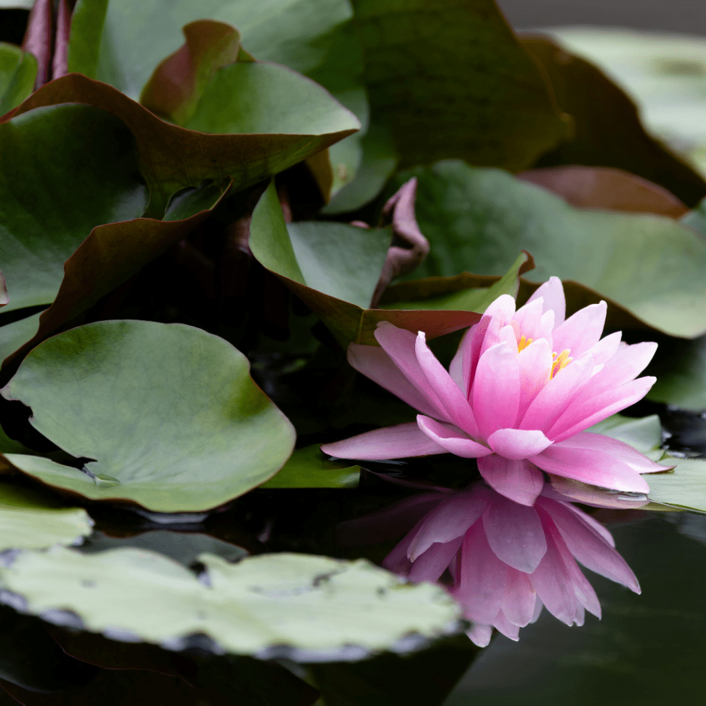 Il peut être naturel d'être calme et posée. 