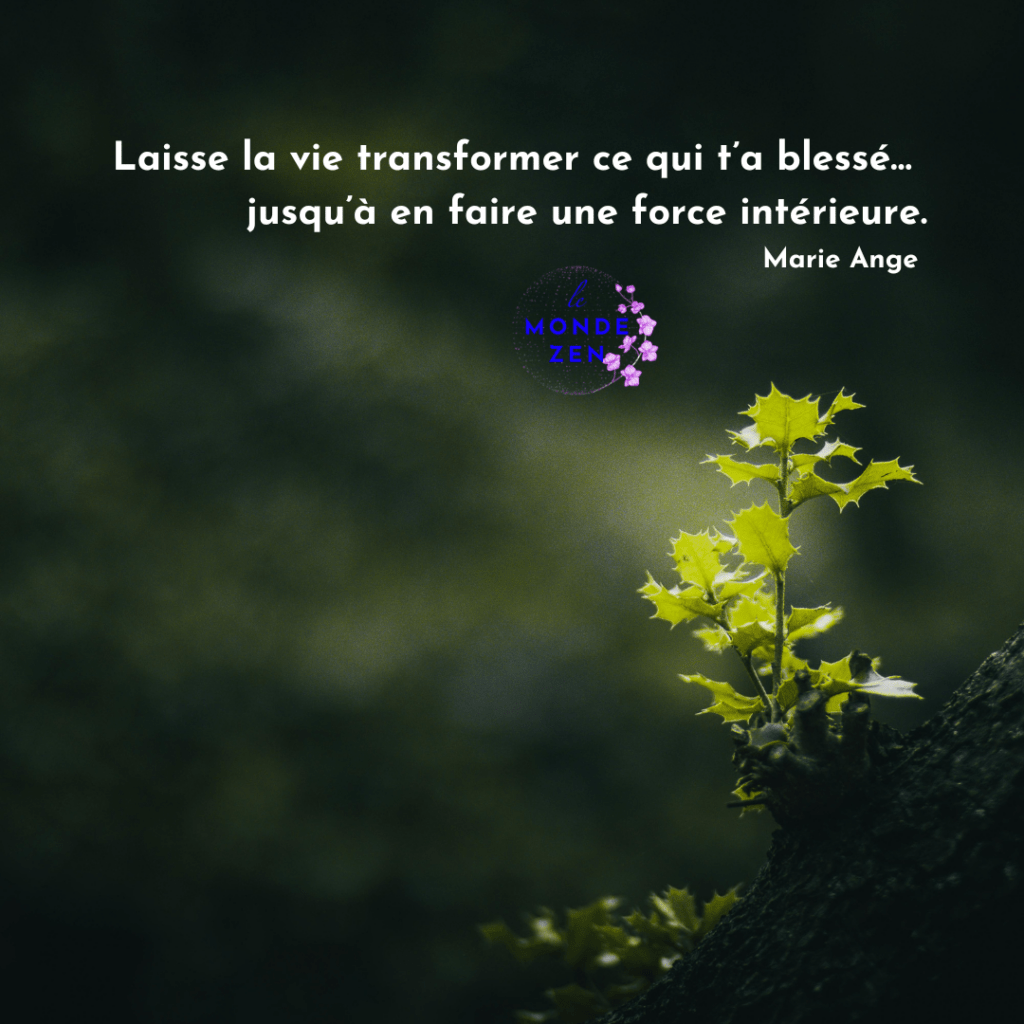 Comprendre la résilience : définition, fonctionnement et transformation intérieure. Pourquoi certaines épreuves peuvent devenir une force.