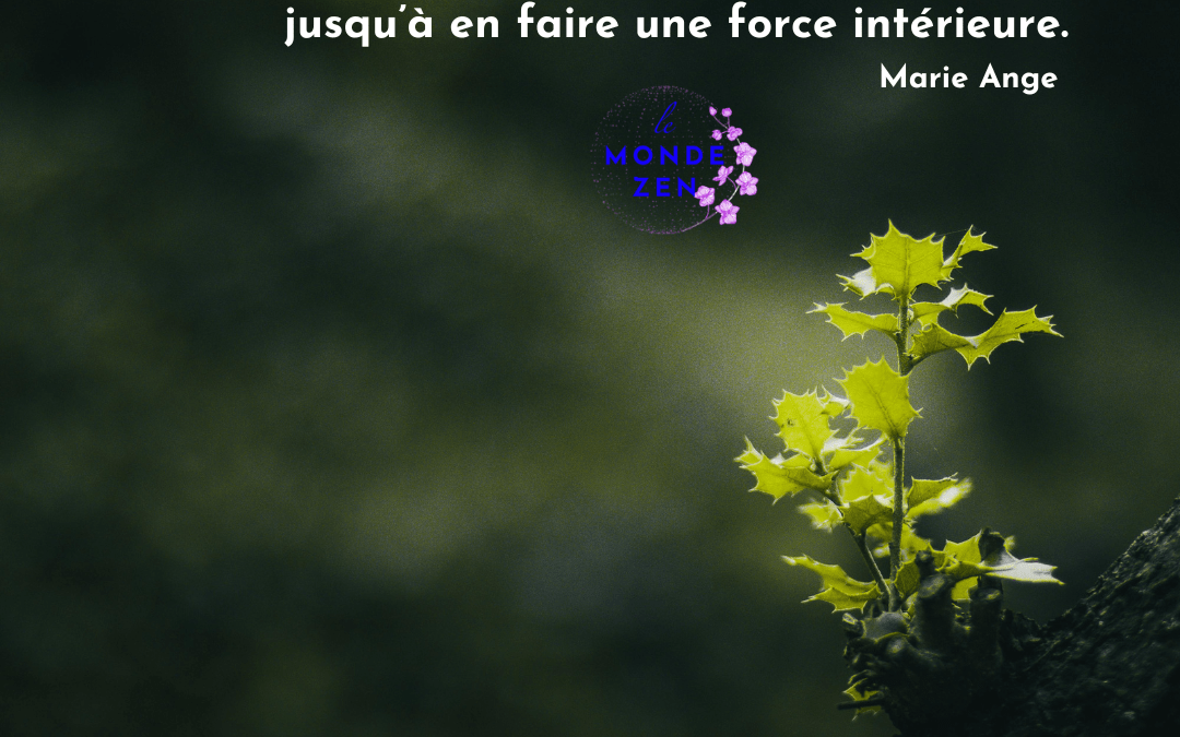 La résilience : Comment certaines épreuves transforment votre vie pour devenir une véritable force intérieure.