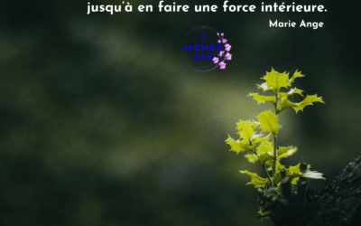 La résilience : Comment certaines épreuves transforment votre vie pour devenir une véritable force intérieure.